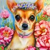 chihuaha-dog-paint-by-number