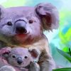 cute-koala-with-baby-paint-by-number