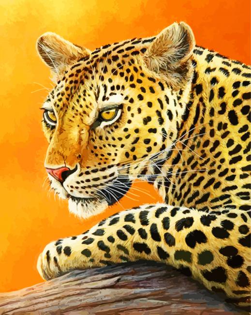 Paint by Numbers Archives - Paintology  Abstract coloring pages, Adult  color by number, Leopard painting