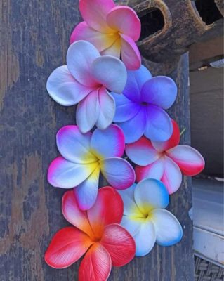 plumeria-flowers-paint-by-numbers-319x400