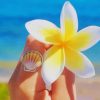 white-and-yellow-Frangipani-flower-paint-by-number