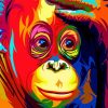 colourful-monkey-paint-by-number-501x400-1
