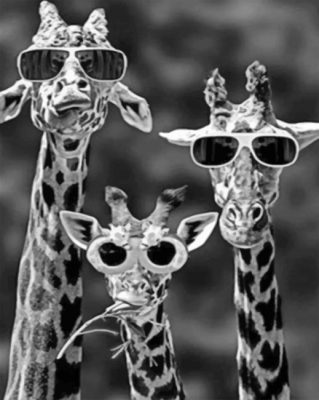 giraffes-with-sunglasses-paint-by-number-319x400-2