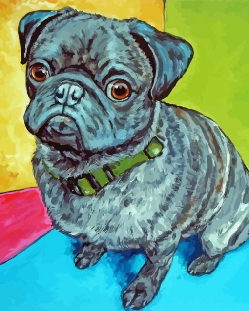 Black Pug Dog paint by numbers