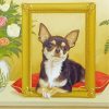 Chihuahua Dog Art paint by numbers