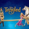 Disney Tangled Animation paint by numbers