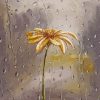 Flower in Rain paint by numbers