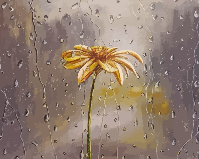 Flower in Rain paint by numbers