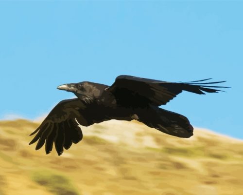 Flying Raven paint by numbers