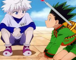 Killua Zoldyck And Gon Freecss paint by numbers