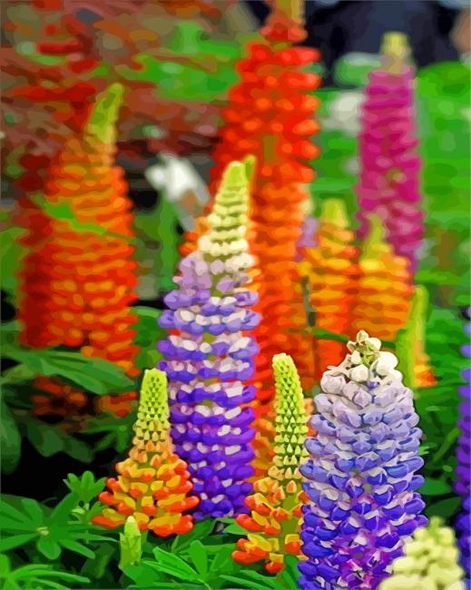 Aesthetic Lupins paint by numbers