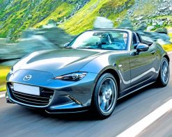 Mx5 Cool Car paint by numbers