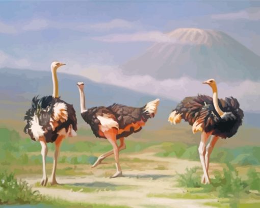Ostrich Birds paint by numbers