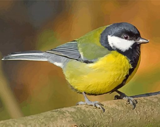 Parus paint by numbers