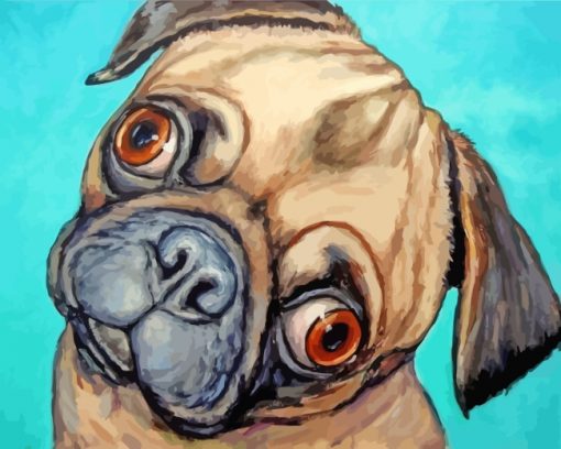 Pug Dog paint by numbers