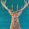 Stag Deer Animal Paint by numbers