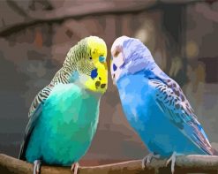 Aesthetic Parakeet paint by numbers