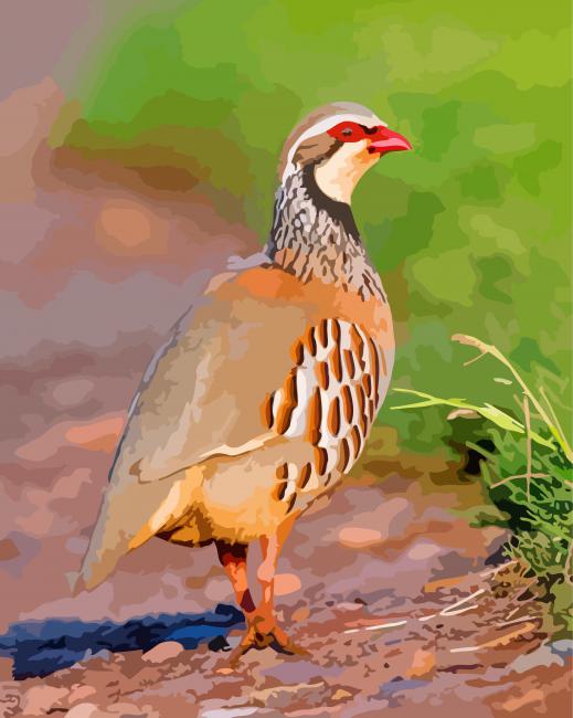 Lonely Partridge paint by numbers