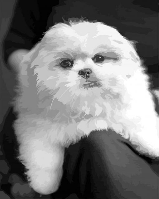 Monochrome Pekapoo Puppy paint by numbers