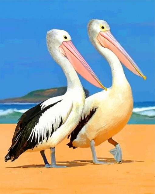 pelicans paint by numbers