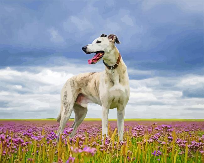 White Lurcher paint by numbers