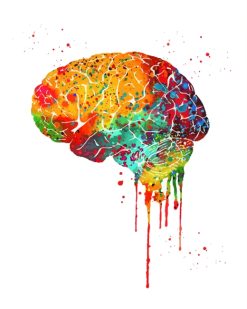Colorful Brain Art paint by numbers paint by numbers
