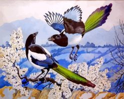 Magpies Birds Illustration paint by numbers