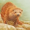 Otter Animal paint by numbers