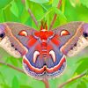 Polyphemus Moth paint by numbers