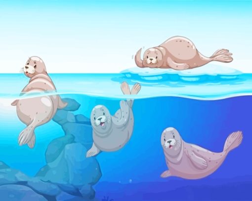 Seals In Water paint by numbers