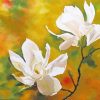 Spring Magnolia Art Paint by numbers