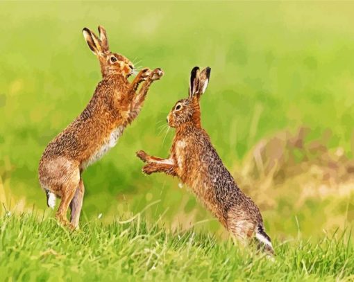 Brown Hares paint by numbers