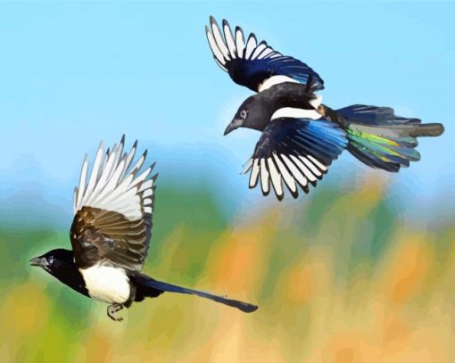 Flying Magpie Birds paint by numbers