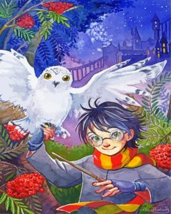Hedwig And Harry Potter paint by numbers