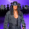 The Undertaker WWE paint by numbers