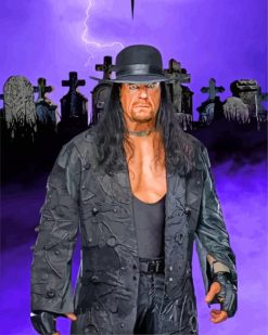 The Undertaker WWE paint by numbers
