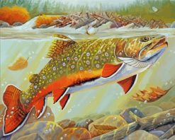 Trout Fish Underwater paint by numbers