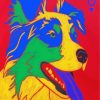 Colorful Aussie Dog paint by numbers