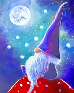 Magical Gnome paint by numbers