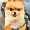 Pomeranian Dog Art paint by numbers