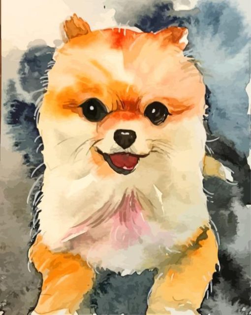 Pomeranian Dog Art paint by numbers