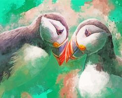 Puffin Birds Art paint by numbers