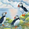 Puffin Birds Family paint by numbers