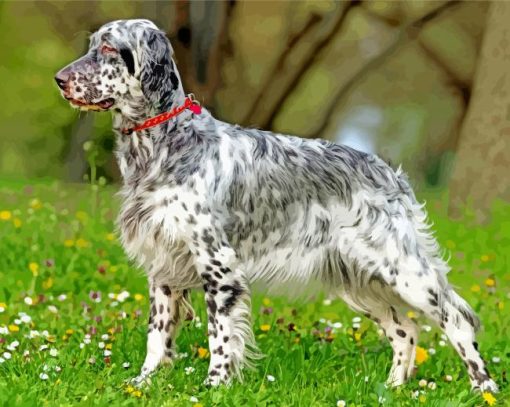 Aesthetic Black And White Irish Setter paint by numbers
