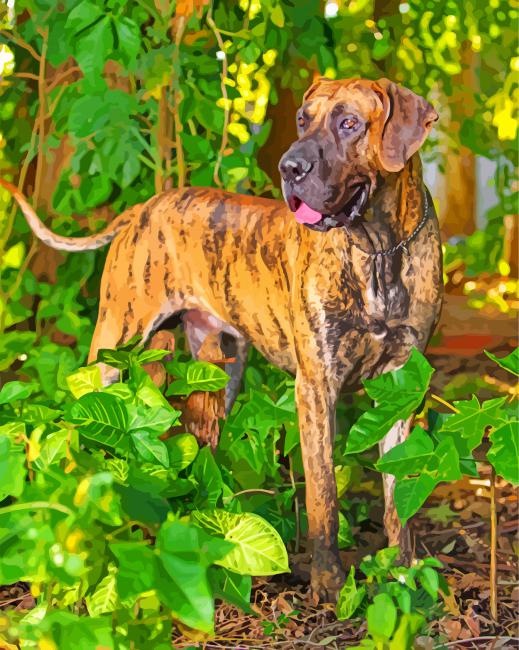 Great Dane Brindle Color paint by numbers