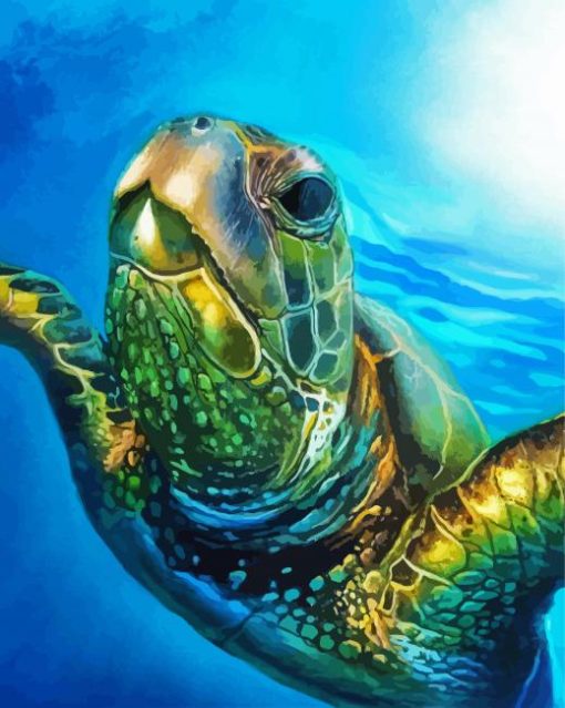 Sea Turtle In The Water paint by numbers