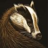 Cute European Badger Paint By Number