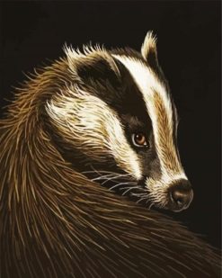 Cute European Badger Paint By Number