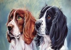 English Springer Spaniel Dogs paint by numbers