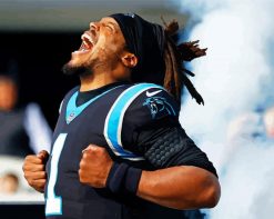 Carolina Panthers Player paint by numbers
